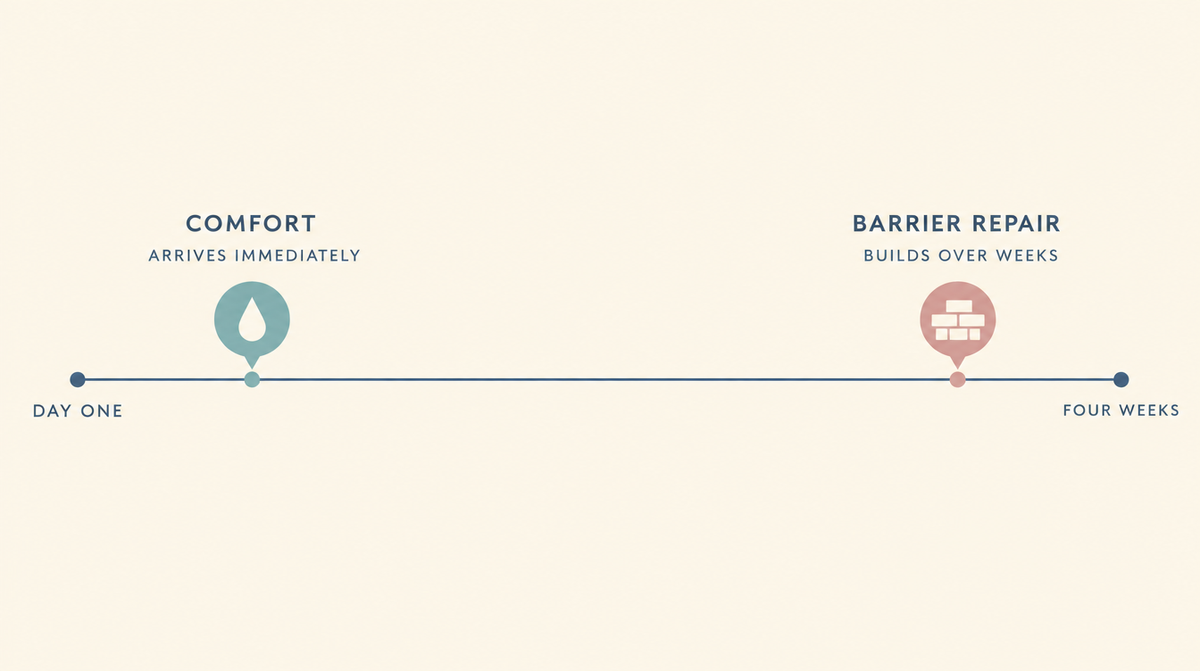Timeline showing comfort arriving on day one and barrier repair building over four weeks.