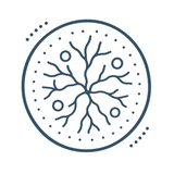 Line icon: branching blood vessels and small bumps on flushed skin.
